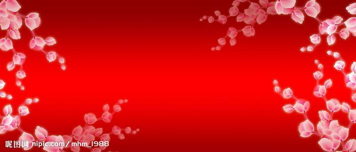 仿制白俄罗斯驾驶执照